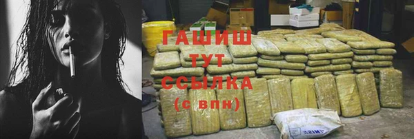 хмурый Арсеньев