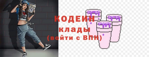 хмурый Арсеньев
