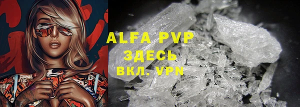 хмурый Арсеньев