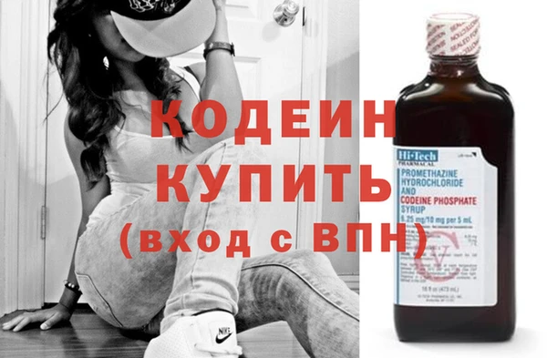 хмурый Арсеньев